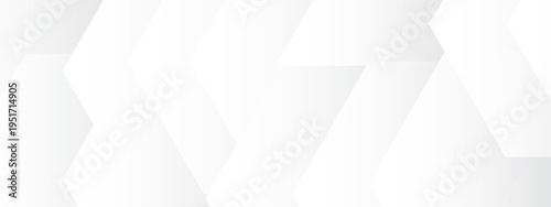 Vector Geometric modern minimalist abstract background design with elegant texture and seamless creative contemporary art concept and simple template pristine white backdrop for backdrop.