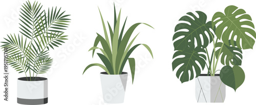 WebHouseplant illustration, indoor plants, palm leaves, spider plant, monstera foliage, decorative pots, botanical design, home decor, vector art, isolated