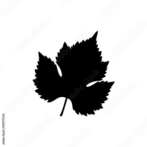 Jagged Grapevine Leaf Silhouette for Winery Logos, Viticulture, and Wine Tasting Elements