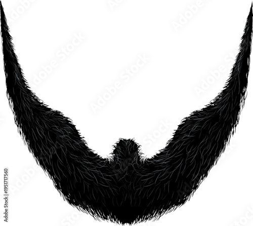 Stylish black beard grooming fashion isolated on white