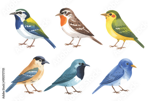 Diverse songbird collection for nature themes in gentle watercolor illustration.