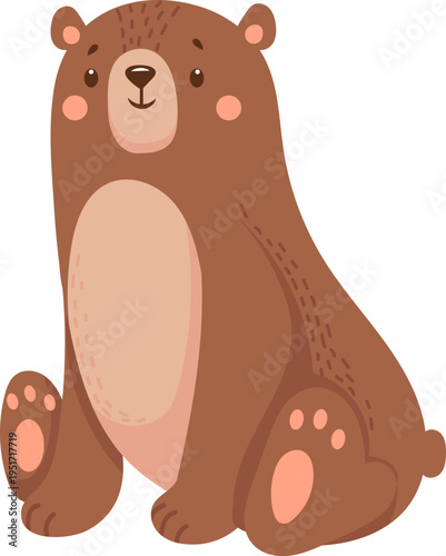 Cute cartoon bear sitting drawing looking forward