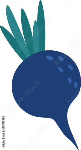 Blue radish root vegetable with green leaves illustration