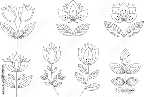 Silhouette of various flowering plants and blooms