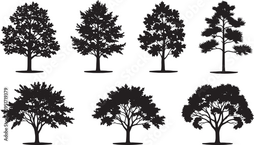 Trees Silhouettes Collection Minimalist Design Element
