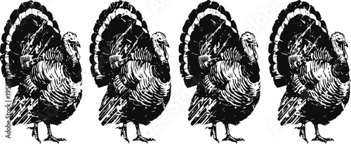 Four detailed black and white turkey illustrations in vintage engraving