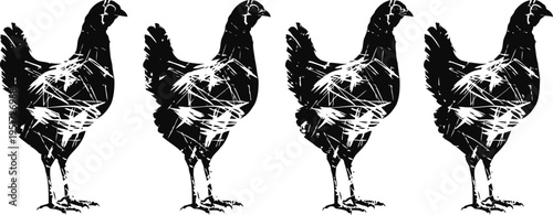 silhouettes of four standing hens in black and white with textured details
