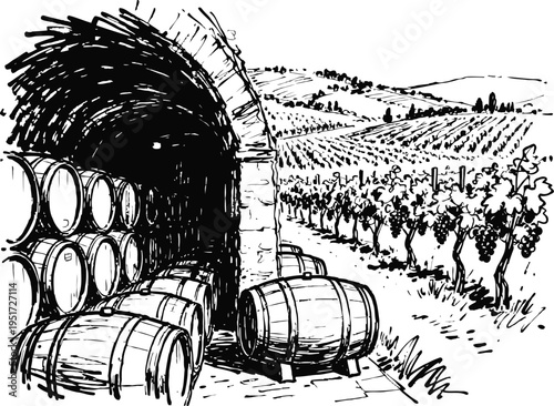 Wine barrels storage in cellar with vineyard landscape background traditional winery agriculture and wine production illustration