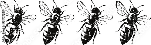detailed black and white line art of four bees in different flying poses with translucent wings