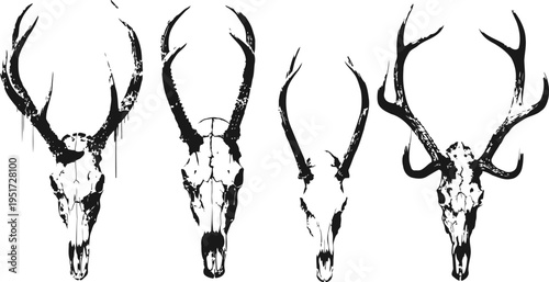 Deer skulls with antlers silhouette set, wildlife hunting symbols, nature bone decoration collection