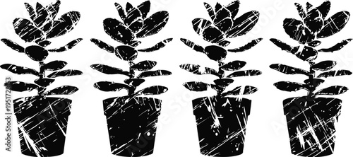 black silhouette of potted succulent plants with textured scratch effect in a row