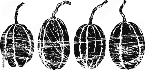 Cocoa pods silhouette set tropical fruit outline black and white pattern hand drawn raw cacao beans collection