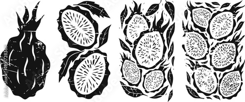 Dragon fruit slices and whole isolated tropical fruits with leaves in black silhouette set