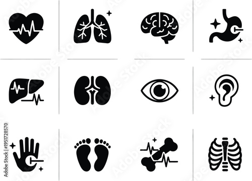 Human internal organs vector icon set, black and white minimalist illustrations featuring heart lungs brain stomach liver kidneys eye ear and skeletal system elements for medical and healthcare design