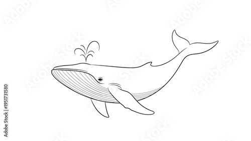 Elegant and detailed outline drawing of a majestic whale, captured in motion with a spouting blowhole, showcasing its graceful form and underwater presence, on a clean white background.