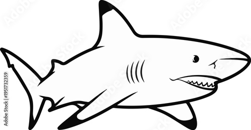Outline drawing of a powerful, predatory shark with sharp teeth and fins