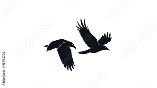 Striking illustration featuring two black crow silhouettes flying, conveying a sense of mystery, freedom, and nature on a white background.
