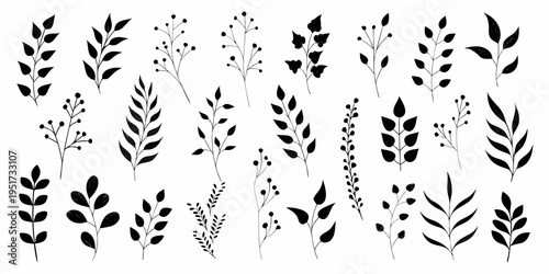 Collection of delicate black and white botanical floral branch illustrations