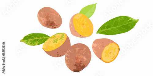 Kumquats and vibrant green leaves arranged in a colorful illustrative composition