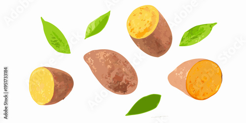 A vibrant illustration of sweet potatoes and fresh green leaves