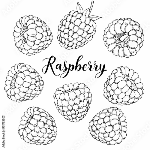 Detailed black and white illustration of several raspberries with handwritten text