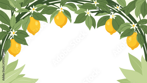 horizontal frame made of lemon tree branches with ripe yellow fruits green leaves and small white flowers on a white background for design.
