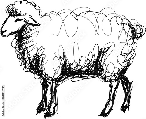 scribble sketch of a sheep with curly wool and detailed face, standing sideways