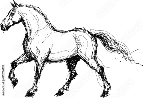 hand drawn running horse sketch in black and white with dynamic motion lines and detailed anatomy
