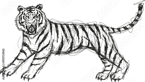 Sketch of a roaring tiger in side view with detailed stripes and expressive face