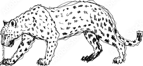 Sketch of a spotted big cat prowling with claws extended and tail raised
