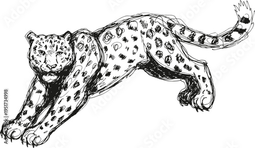 Leaping leopard illustration in black and white wild animal with spotted fur, powerful predator, dynamic pose