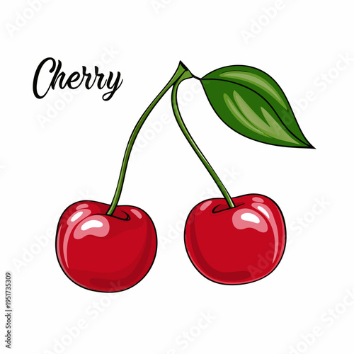 A colorful illustration depicts two ripe cherries with a single leaf