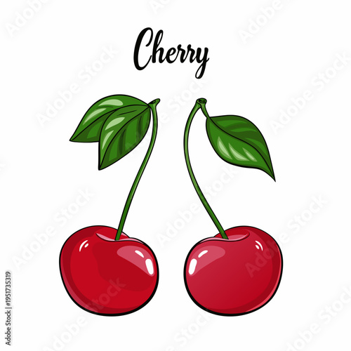 Illustration of two vibrant red cherries with green stems and leaves