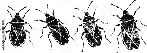 Illustration of various insects with long antennae and segmented legs in different poses