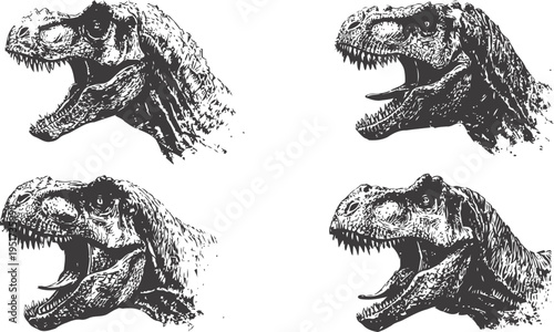 Four detailed tyrannosaurus rex head sketches showing open mouth from different angles in black ink