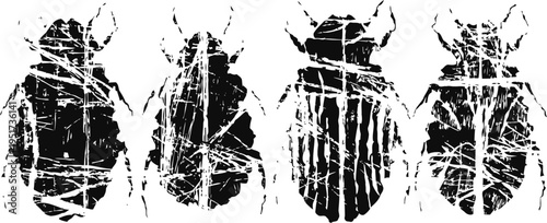 set of black and white beetle silhouettes with textured distressed grunge effect isolated on white