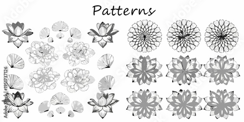 Floral patterns and arrangements in grayscale showcasing botanical illustrations