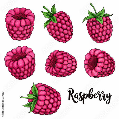 A colorful illustration featuring six ripe raspberries and green leaves