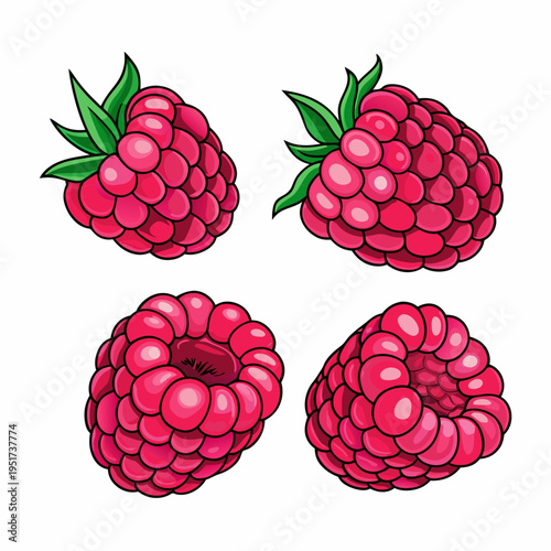 Illustration of four vibrant raspberries with detailed textures and green leaves