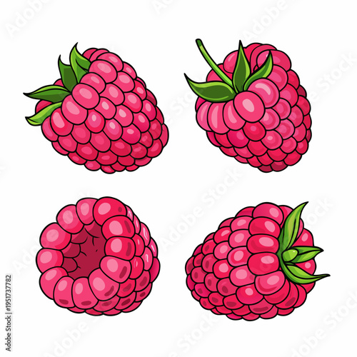 Four colorful cartoon raspberries in varying stages of ripeness are displayed