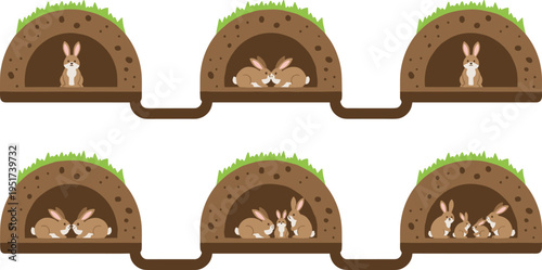 Vector illustration set showing a rabbit warren and underground burrows with different family groups and bunnies in a cross-section nature scene.