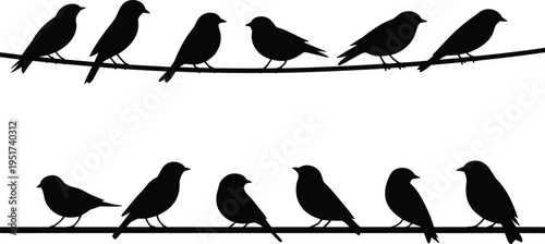 Bird silhouettes sitting on wire vector set, small songbirds perched in row wildlife nature shapes, flat vector illustration