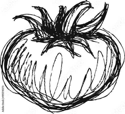 Hand drawn tomato sketch with loose lines and artistic scribble illustration