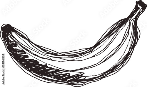 Hand drawn banana sketch single ripe tropical fruit illustration in black ink natural healthy food drawing