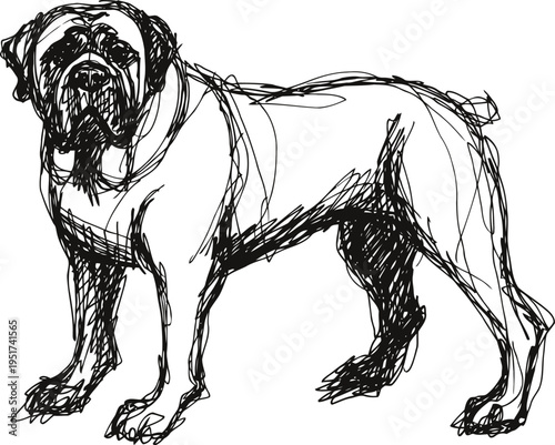 Bulldog sketch illustration standing side view hand drawn dog outline, black ink drawing of pet and animal
