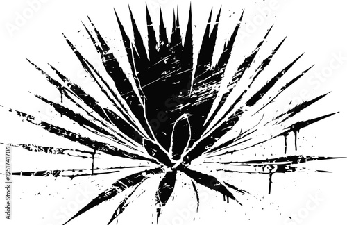 Abstract black and white agave plant silhouette with sharp pointed leaves on white background