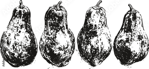 Four hand drawn pears in vintage style, monochrome fruit illustrations, botanical sketch collection