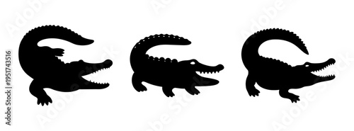 Three alligator silhouette vector image for wildlife animal reptile design and print template vector art