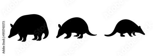 Three anteaters silhouette vector illustration foraging for food in black and white design style