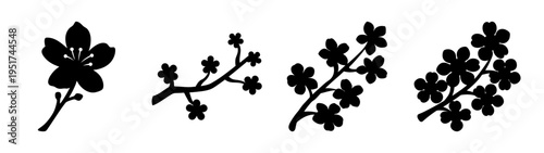 Vector floral design elements: botanical flower branch silhouette illustration for print and web use